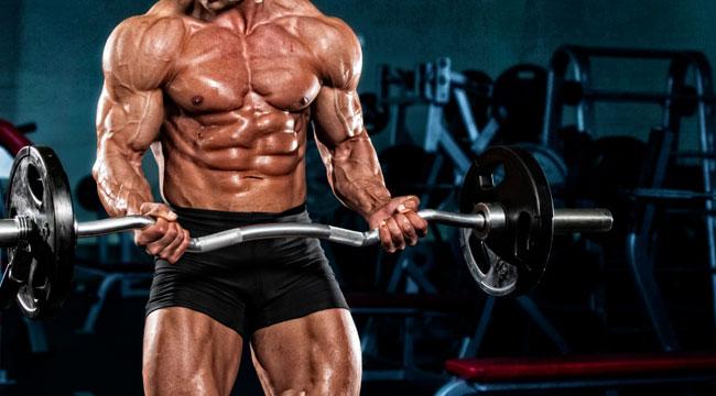 The Latest Weightlifting Tips That Will Help You Get Cut and Jacked
