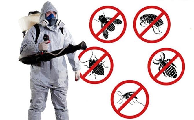 Top 5 Factors to Consider When Hiring Pest Control Professionals