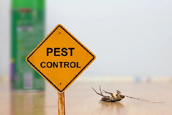Debunking the Most Common Pest Control Myths That Exist Today