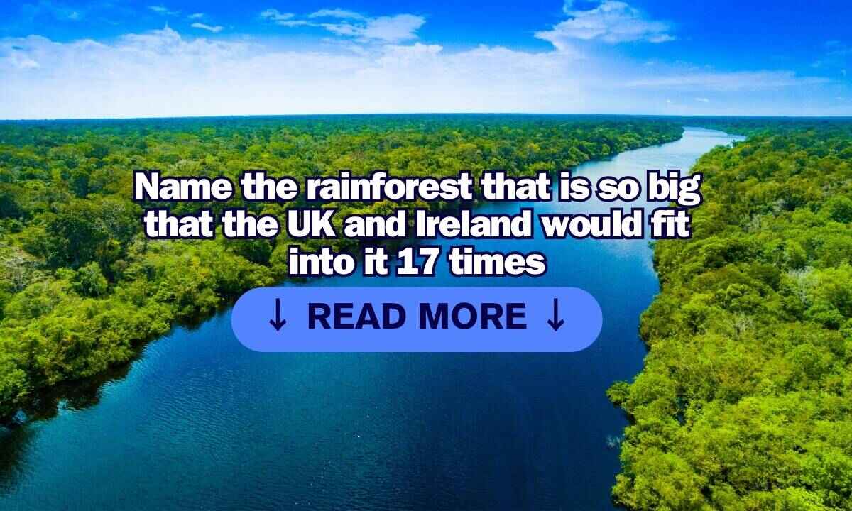 name the rainforest that is so big that the uk and ireland would fit into it 17 times